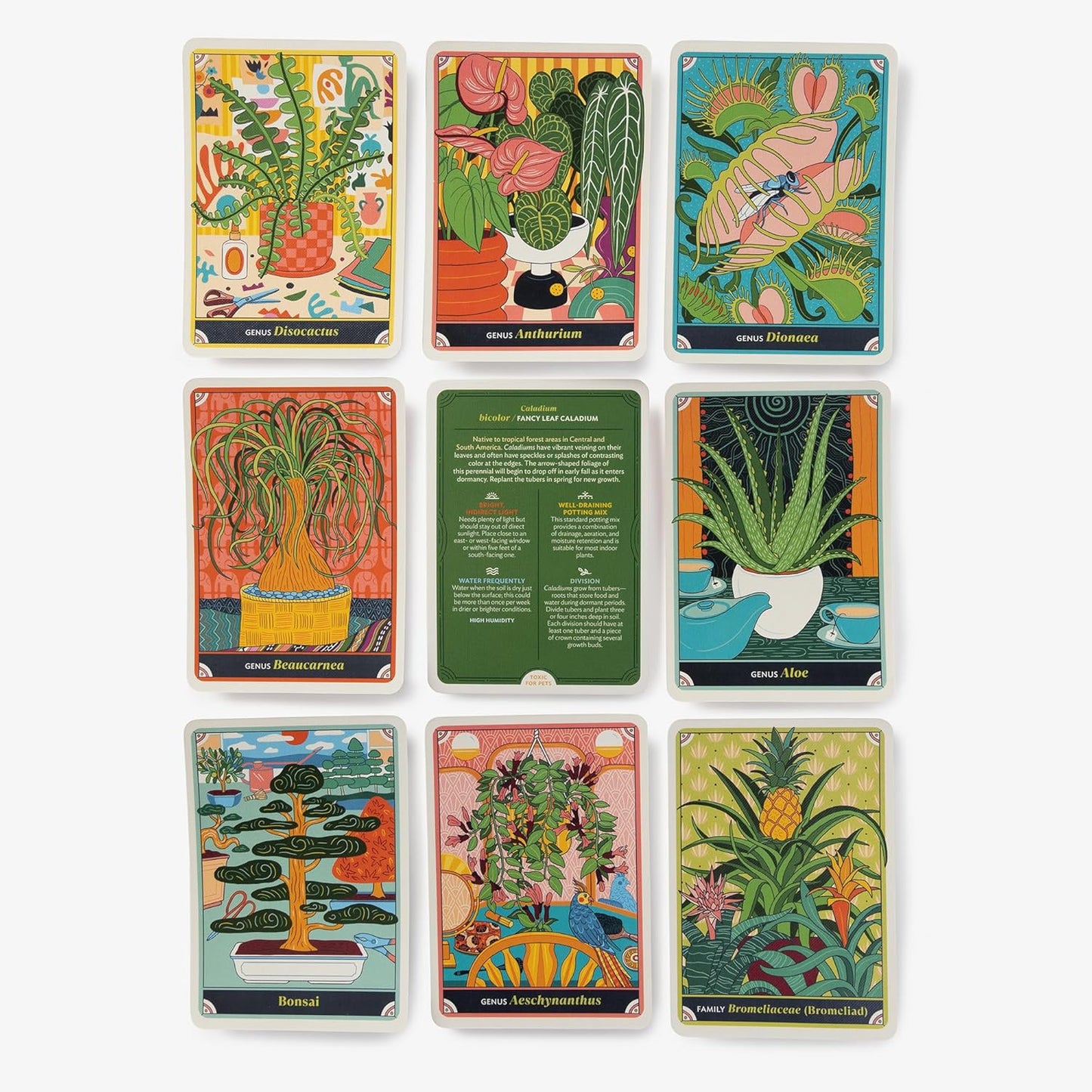 THE HAPPY HOUSEPLANT DECK: 50 Cards for Intuitive Plant Care