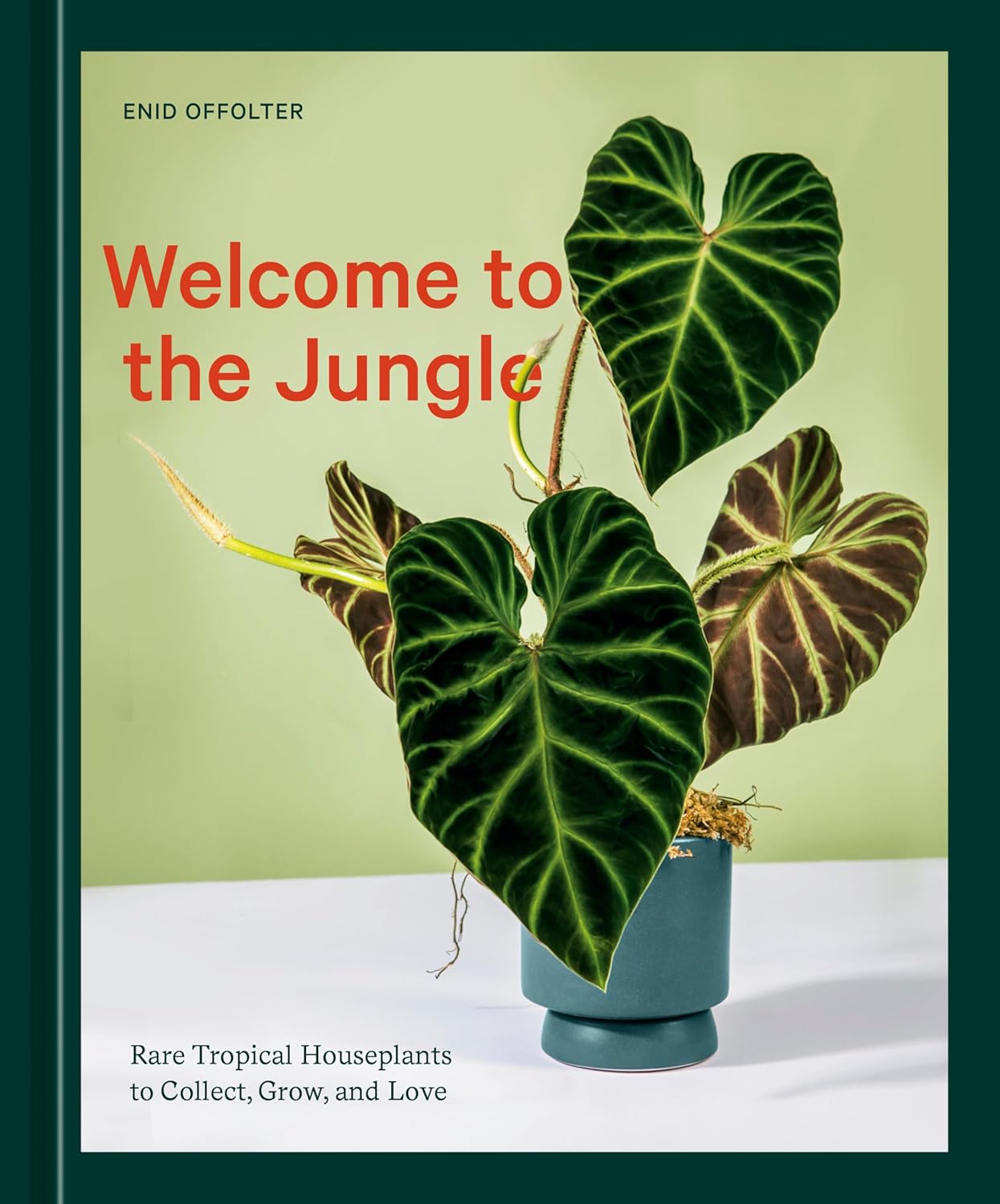 WELCOME TO THE JUNGLE: Rare Tropical Houseplants to Collect, Grow and Love
