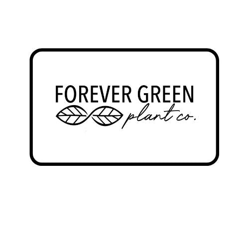 Forever Green Plant Co. Gift Card